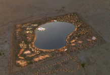 Al Layan Oasis Explained: How Dubai Is Transforming Desert Tourism